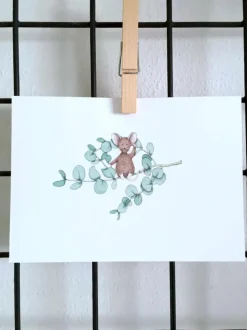Anillustration Ansichtkaart Eucalyptus muis