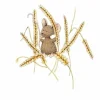 Anillustration Ansichtkaart Muis op tarwe