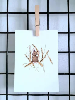 Anillustration Ansichtkaart Muis op tarwe