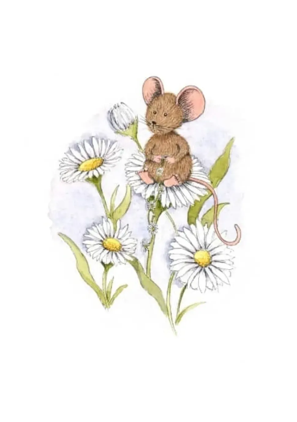 Anillustration Ansichtkaart Muisje op Madeliefjes
