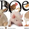 Boe!