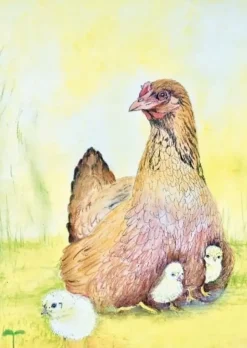 Brechtje Duijzer Ansichtkaart Kip met Kuikens
