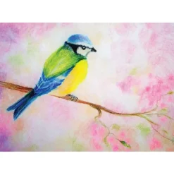 Brechtje Duijzer Ansichtkaart Pimpelmeesje