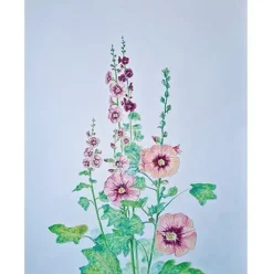 Brechtje Duijzer Minikaartje Stokroos