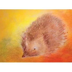 Brechtje Duijzer Minikaartje Egel