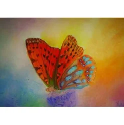 Brechtje Duijzer Wenskaart Parelmoervlinder