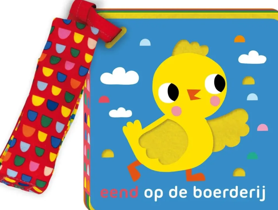 Buggyboekje eend op de boerderij