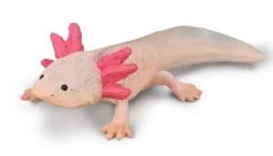 Collecta Axolotl 80015