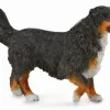 Collecta Berner Sennenhond 88801