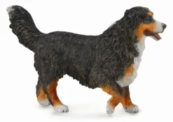 Collecta Berner Sennenhond 88801