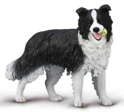 Collecta Border Collie 80012