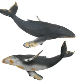 Collecta Bultrug Walvis 88347