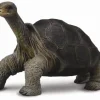 Collecta Galapagosreuzenschildpad 88619