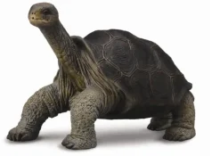 Collecta Galapagosreuzenschildpad 88619