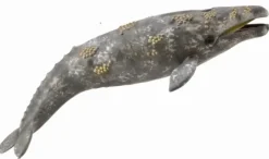 Collecta Grijze Walvis 88836