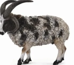 Collecta Jacobschaap 88728