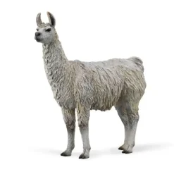 Collecta Lama 88991