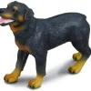 Collecta Rottweiler 88189