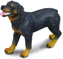 Collecta Rottweiler 88189