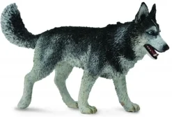 Collecta Siberische Husky 88707