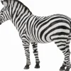 Collecta Steppezebra 88830