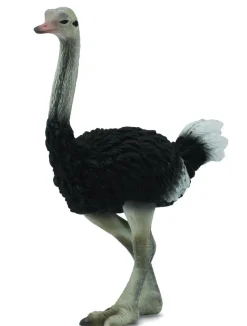 Collecta Struisvogel 88459