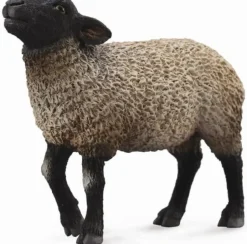 Collecta Suffolk 88636