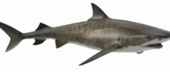 Collecta Tijgerhaai 88661