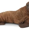 Collecta Walrus 88569