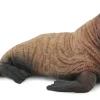 Collecta Walruskalf 88570