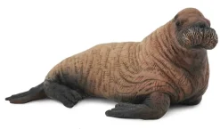 Collecta Walruskalf 88570