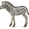 Collecta Zebra Veulen 88850