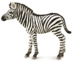 Collecta Zebra Veulen 88850