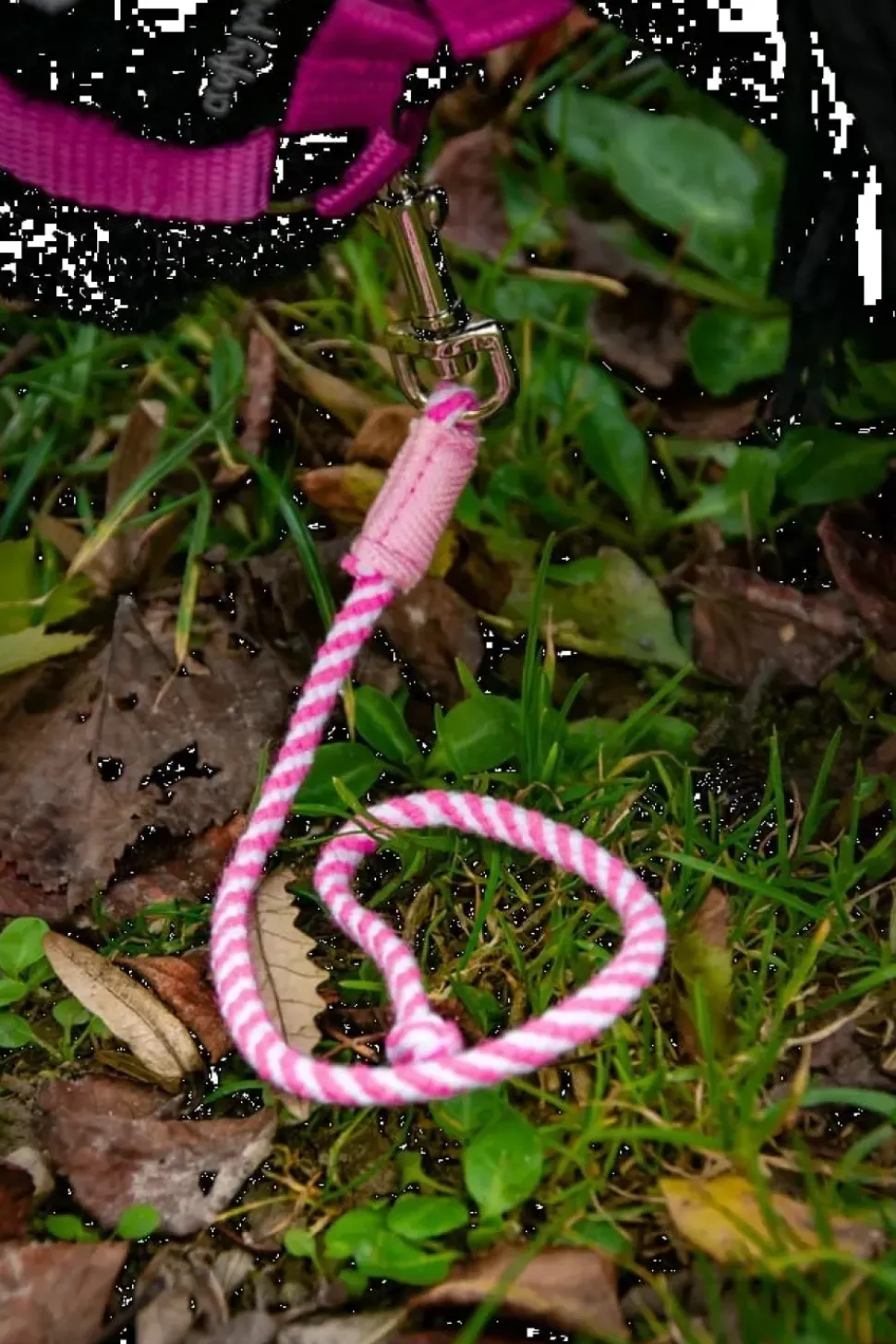 crafty ponies Halstertouw Roze