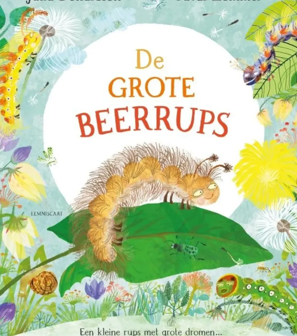 De grote Beerrups