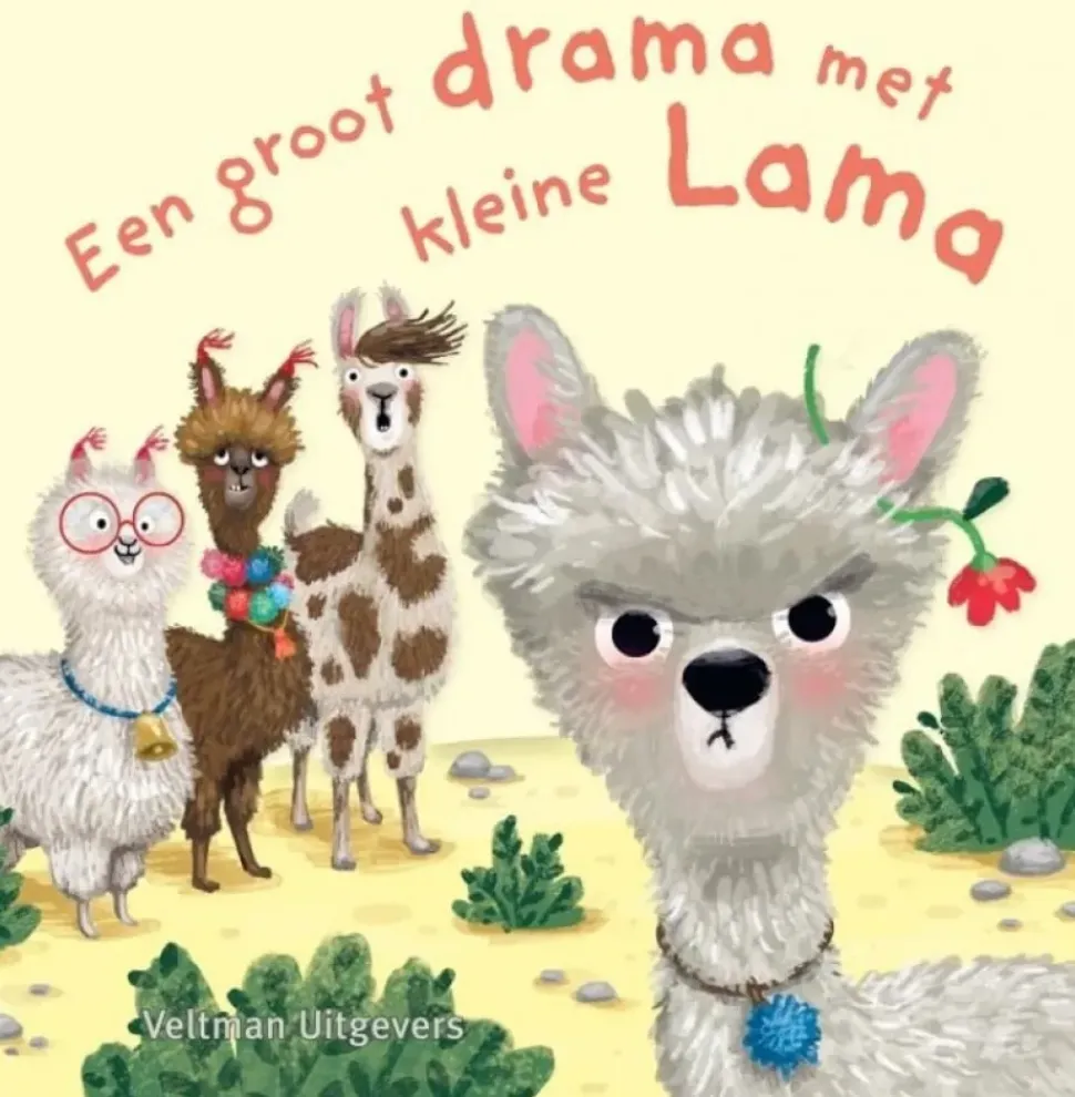 Een groot drama met kleine Lama