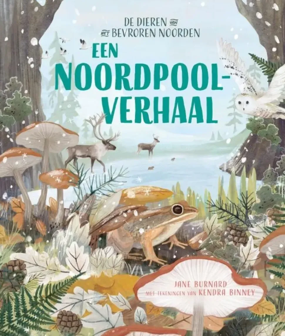 Een Noordpoolverhaal