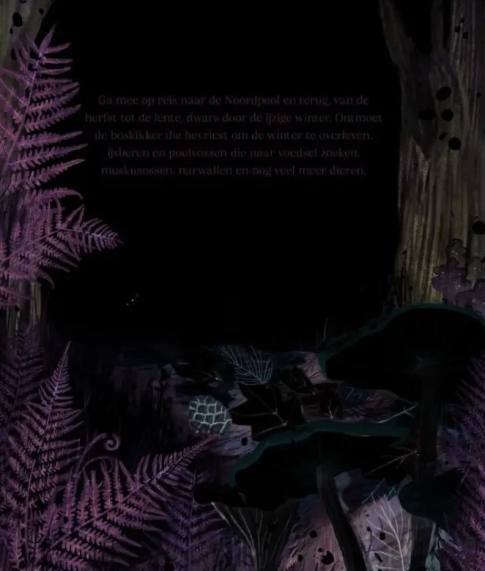 Een Noordpoolverhaal