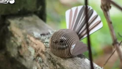 Eugy 3D Bouwpakket Fantail