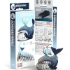 Eugy 3D Bouwpakket Groenlandse Walvis