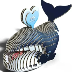Eugy 3D Bouwpakket Groenlandse Walvis