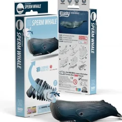 Eugy 3D Bouwpakket Potvis