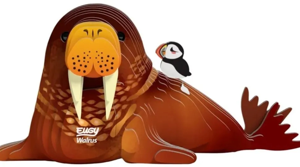 Eugy 3D Bouwpakket Walrus