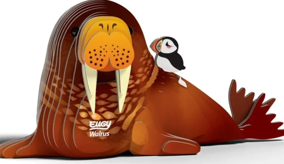 Eugy 3D Bouwpakket Walrus