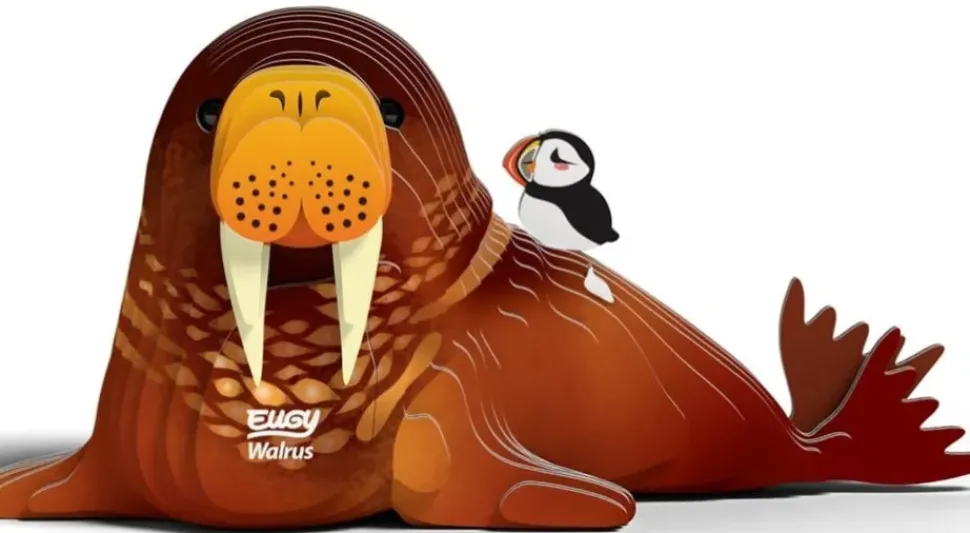 Eugy 3D Bouwpakket Walrus