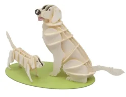 Fridolin 3D Papiermodel Hond Golden Retriever
