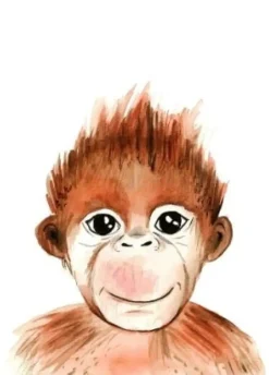 Fritsy Postkaart Aap