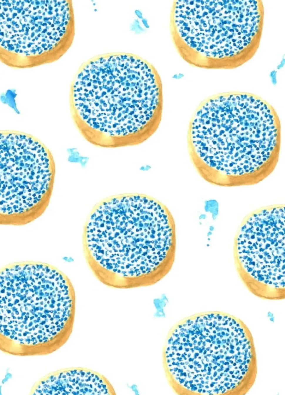 Fritsy Postkaart Beschuit met Muisjes Blauw