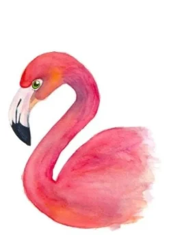 Fritsy Postkaart Flamingo
