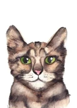 Fritsy Postkaart Kat